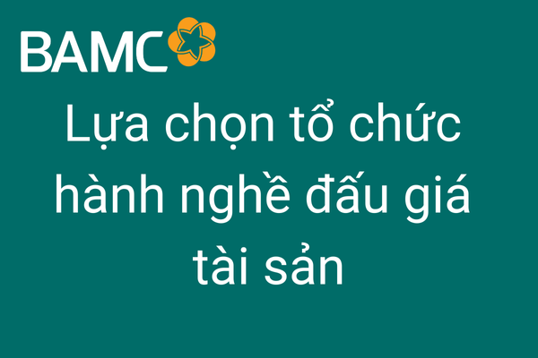 [29-08-2025] Thông báo lựa chọn tổ chức hành nghề đấu giá tài sản – tàu Mekongtrans 02