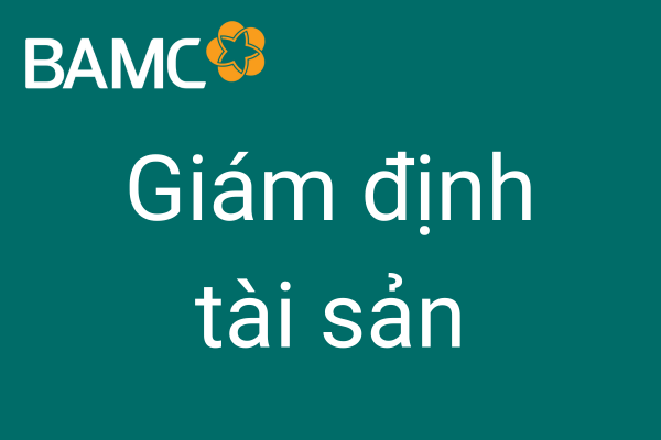 [05-09-2025] Thông báo mời Doanh nghiệp giám định tài sản – Dây chuyền sản xuất cáp quang